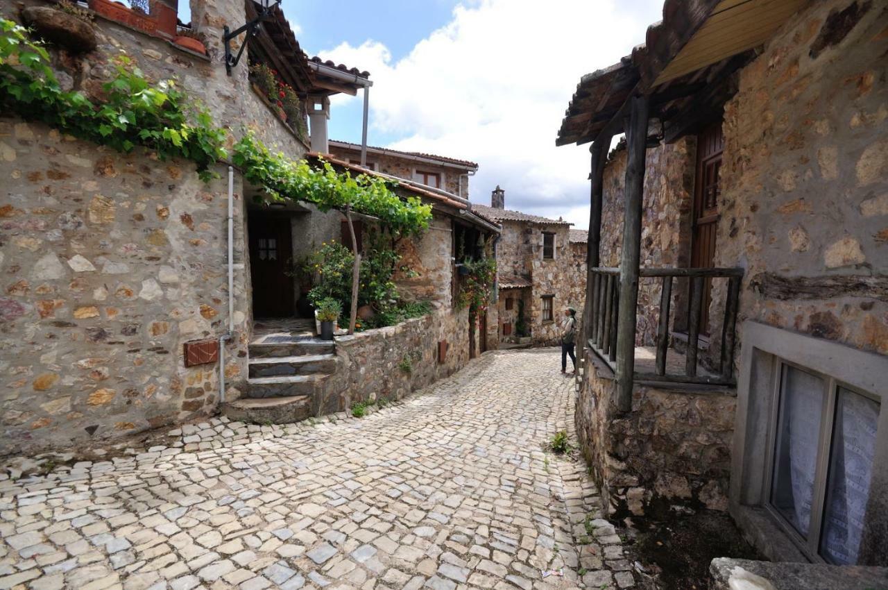 Vila Casa Do Olival Figueiro Dos Vinhos Exteriér fotografie