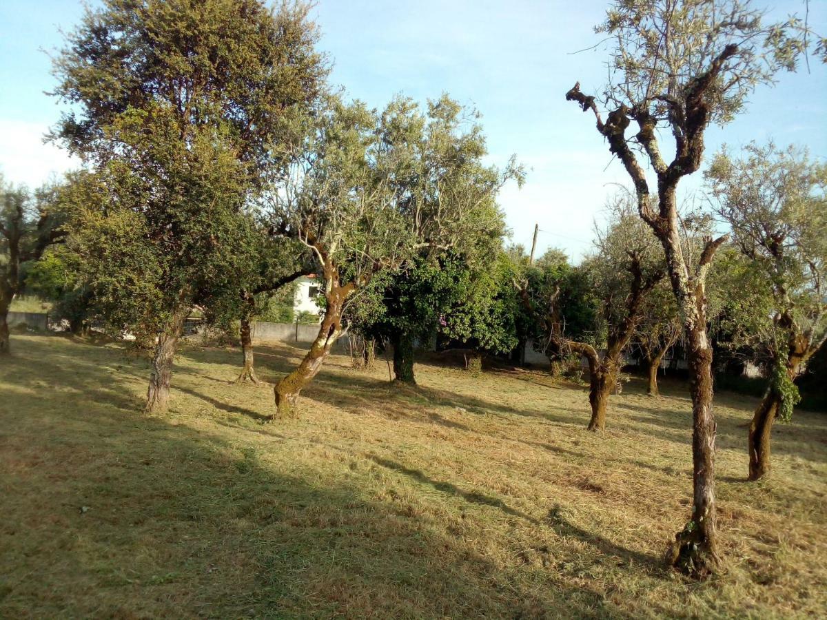 Vila Casa Do Olival Figueiro Dos Vinhos Exteriér fotografie