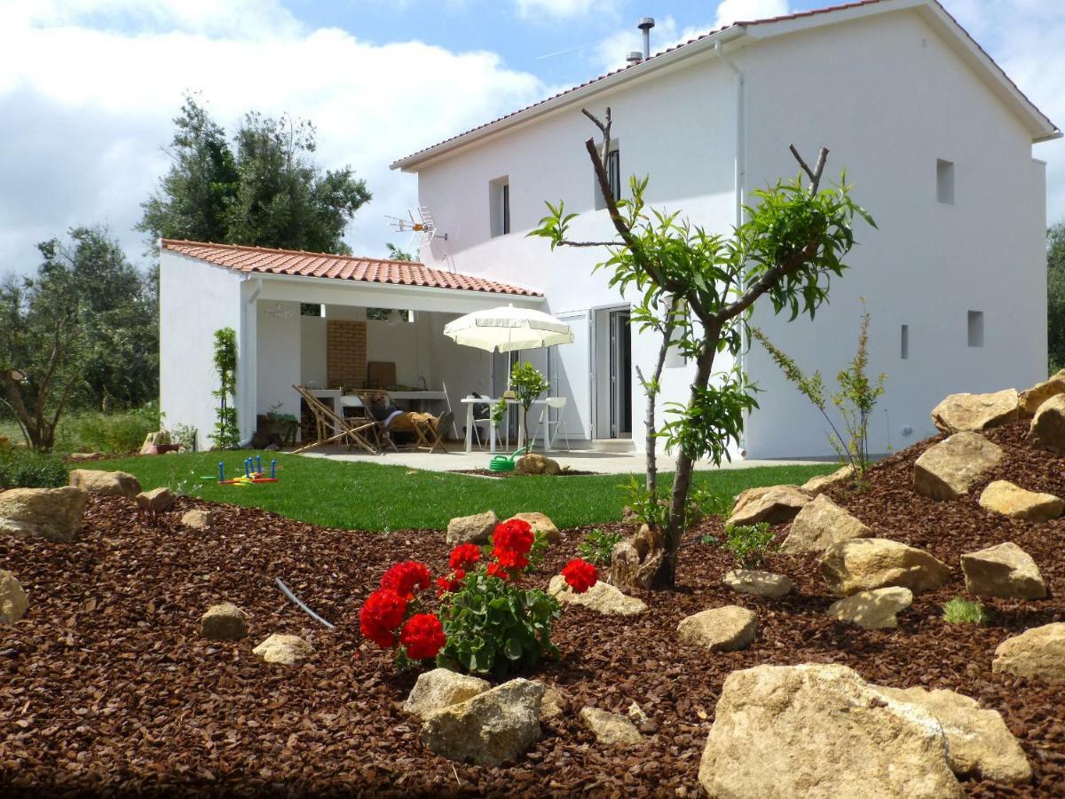 Vila Casa Do Olival Figueiro Dos Vinhos Exteriér fotografie
