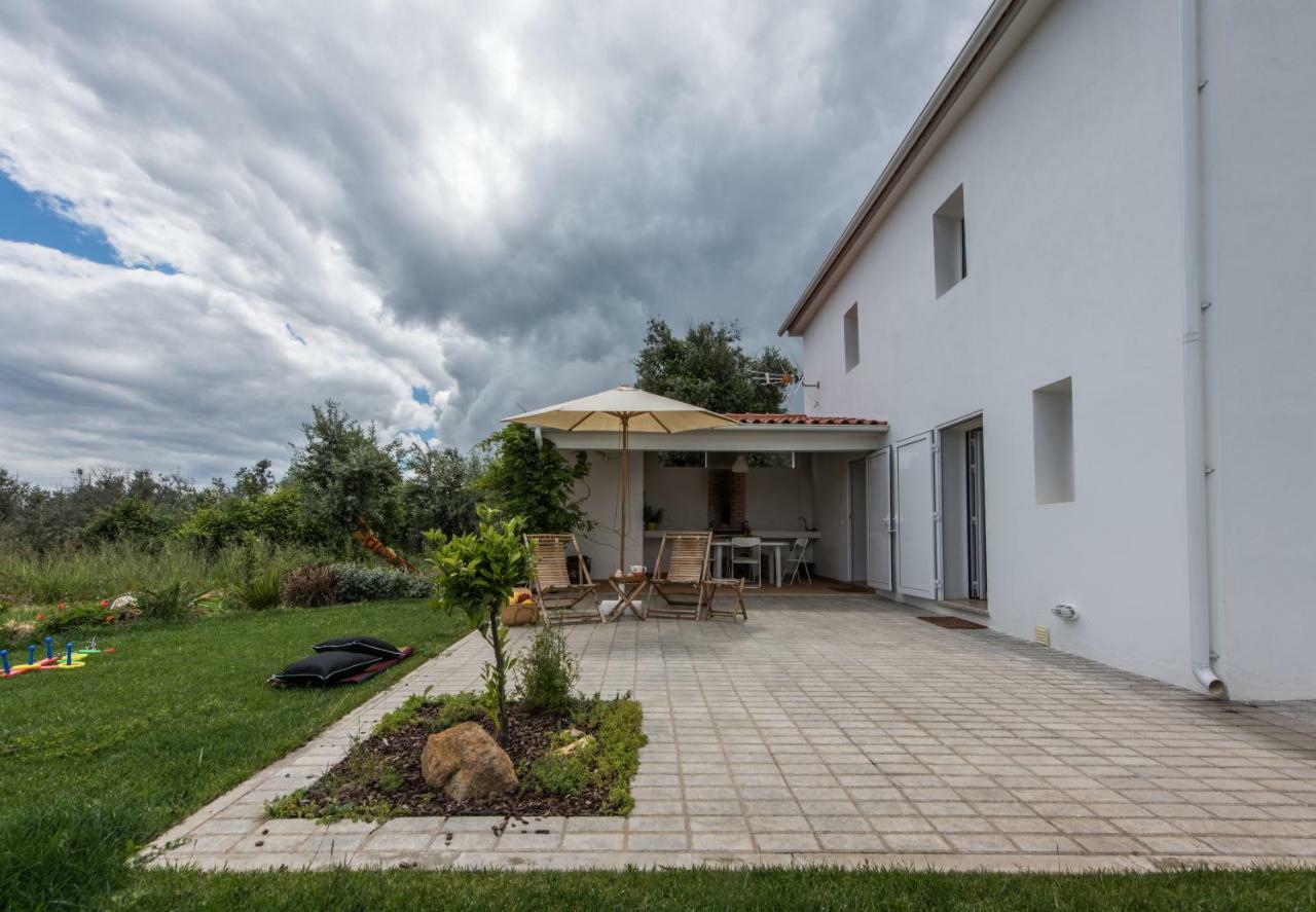 Vila Casa Do Olival Figueiro Dos Vinhos Exteriér fotografie