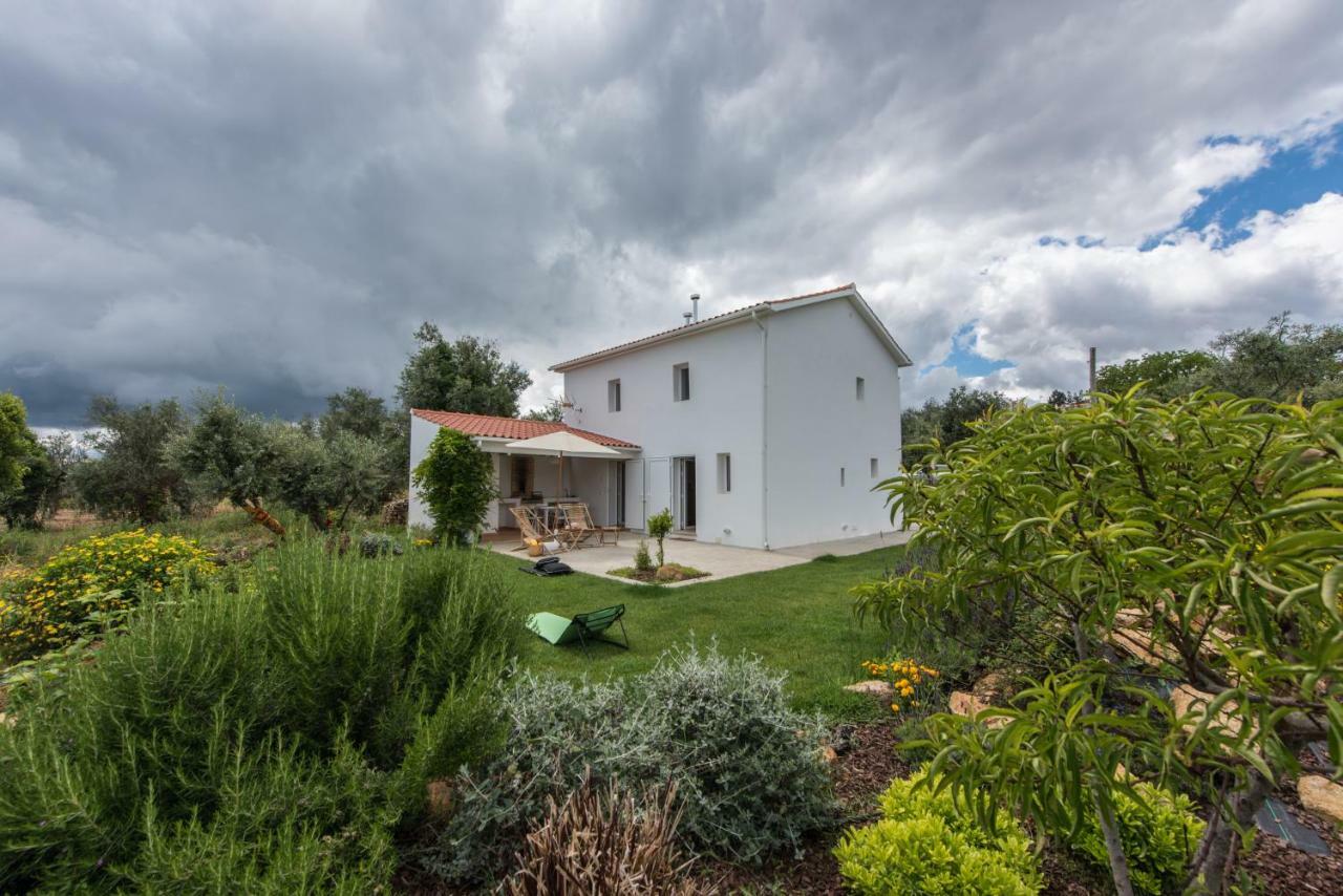 Vila Casa Do Olival Figueiro Dos Vinhos Exteriér fotografie